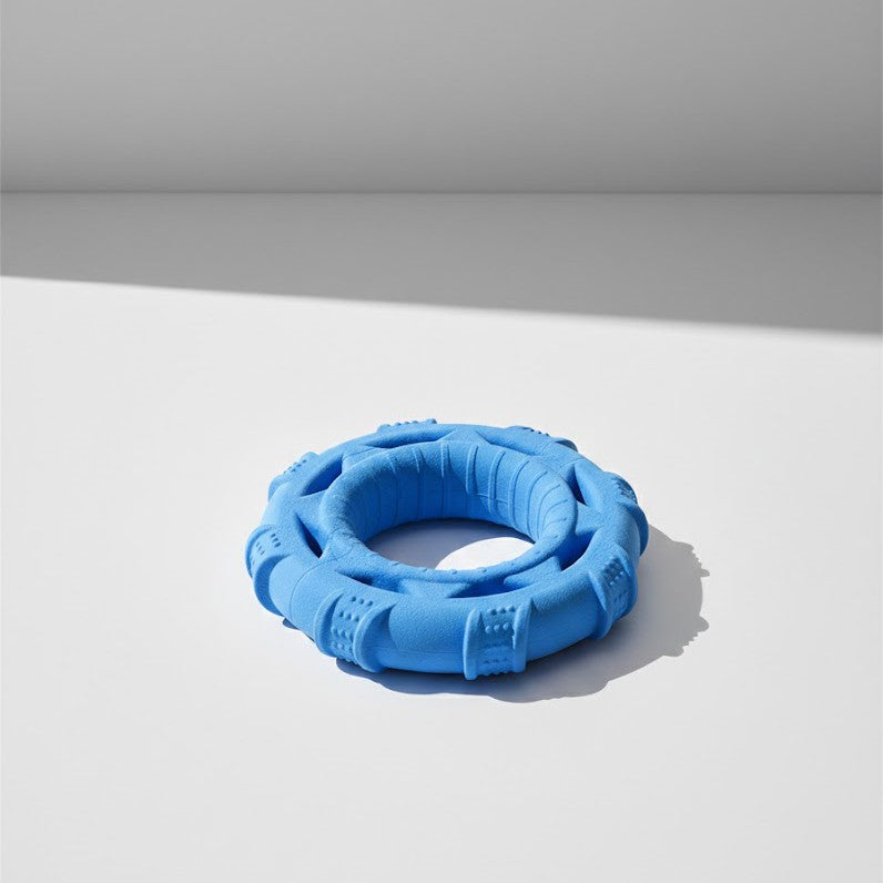 Heavy-Duty Flying Ring