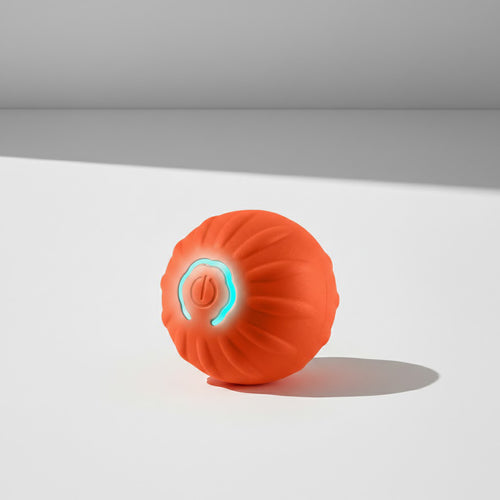 Smart Interactive Self-Rolling Bouncing Ball
