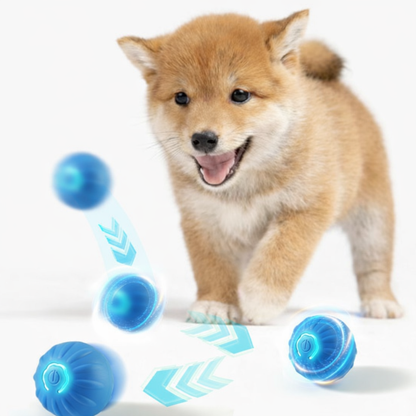 Smart Interactive Self-Rolling Bouncing Ball