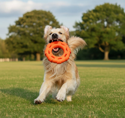 Heavy-Duty Flying Ring