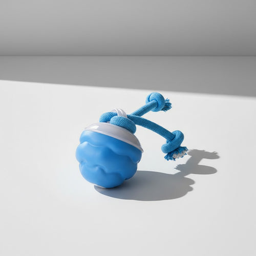 Smart Interactive "Dancing" Dog Ball