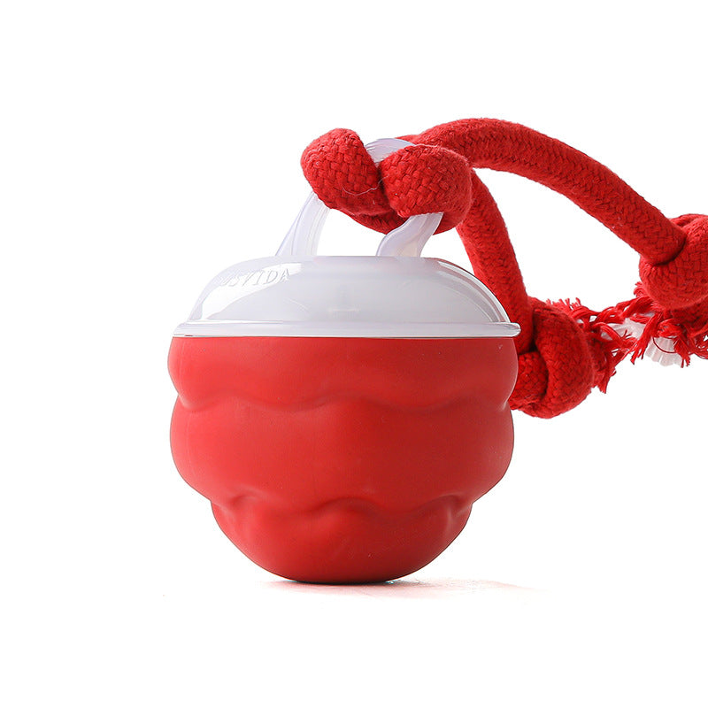 Smart Interactive "Dancing" Dog Ball