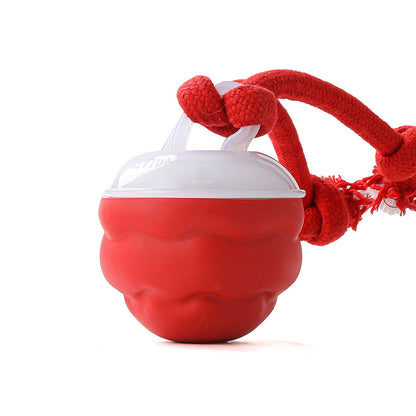 Smart Interactive "Dancing" Dog Ball